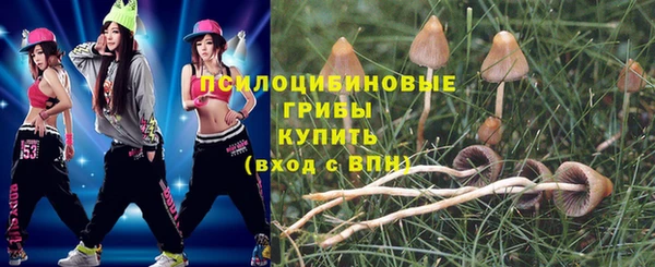 мяу мяу мука Магадан