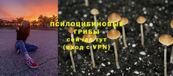 мяу мяу мука Майский
