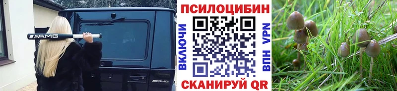 Купить где  Новочебоксарск  Галлюциногенные грибы Magic Shrooms 