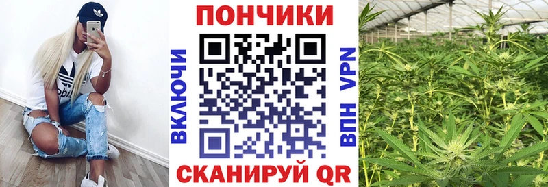 Шишки марихуана конопля Новочебоксарск